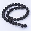 Natural Lava Rock Beads Strands G-Q462-10mm-24-2