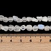 Natural Rainbow Moonstone Beads Strands G-Q060-D12-5