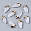 Natural Quartz Crystal Pendants G-S359-316B-1