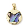 Natural Paua Shell Butterfly Pendants KK-F877-03G-1