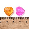 Transparent Acrylic Pendants OACR-Z037-11-3
