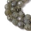 Natural Labradorite Beads Strands G-K376-F07-01-4
