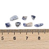 Natural Blue Spot Jasper Beads G-K397-02-3