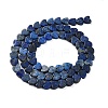 Dyed Natural Lapis Lazuli Beads Strands G-M403-A30-02-3