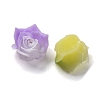 Luminous Resin Decoden Cabochons RESI-Z032-05A-4