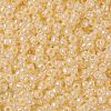 TOHO 8/0 Round Beads X-SEED-TR08-0901-2
