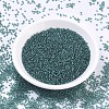 MIYUKI Round Rocailles Beads SEED-JP0008-RR1933-2