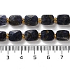 Natural Iolite Beads Strands G-H061-A10-01-5