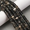 Natural Biotite Beads Strands G-L624-I12-3x6mm-1