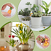 30Pcs 10 Styles Resin Fruit Miniature Ornaments DJEW-WR0001-11-3
