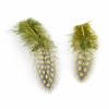 Chicken Feather Costume Accessories FIND-Q048-10-3