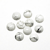 Natural Howlite Cabochons X-G-R416-16mm-29-1