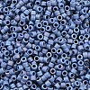MIYUKI Delica Beads LS-X-SEED-J020-DB2317-2