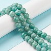 Natural Amazonite Beads Strands X-G-F461-12-6mm-01-4