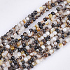 Black Lip Shell Beads Strands SHEL-S274-92A-1
