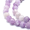 Natural Lepidolite/Purple Mica Stone Beads Strands G-P457-A04-01-2