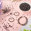 100G Transparent Inside Colours Glass Seed Beads SEED-TA0001-43-8