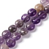 Natural Amethyst Beads Strands G-T047-A04-01-1