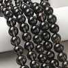 Natural Ice Obsidian Beads Strands G-P590-A03-12mm-02-1