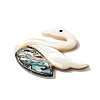 Natural Freshwater Shell & Paua Shell & White Shell Cabochons SHEL-C009-02-2