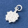 925 Sterling Silver Imitation Food Charms FIND-U013-11S-04-2