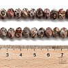 Natural Leopard Skin Jasper Beads Strands G-Z111-A23-6