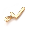 304 Stainless Steel Pendants STAS-L210-05F-G-2