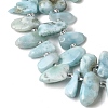 Natural Larimar Beads Strands G-P604-A28-01-4