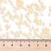 Glass Seed Beads SEED-XCP0001-01-4