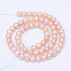 Natural Cultured Freshwater Pearl Beads Strands PEAR-R063-39B-2