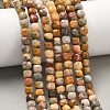 Natural Crazy Agate Beads Strands G-F797-A22-01-1