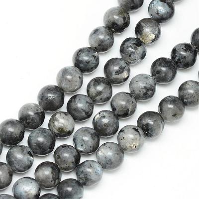 Natural Larvikite Beads Strands G-R345-6mm-33-1