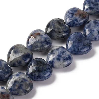 Natural Blue Spot Jasper Beads Strands G-I372-A13-02-1