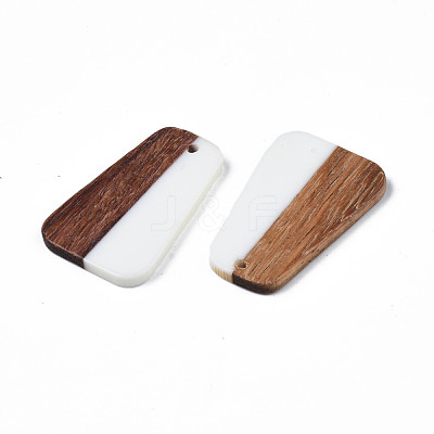 Resin & Wood Pendants RESI-N025-021-1