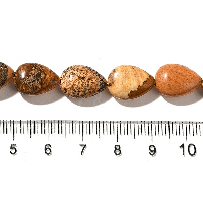 Natural Picture Jasper Beads Strands G-I377-A17-1