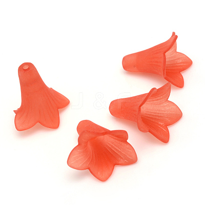 Transparent Acrylic Beads X-FACR-Q009-15-1
