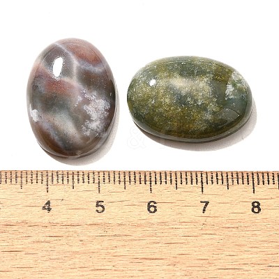Natural Indian Agate Gemstone Cabochons G-T020-18x25mm-27-1
