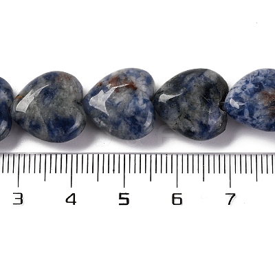 Natural Blue Spot Jasper Beads Strands G-I372-A13-02-1