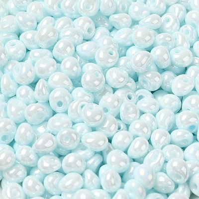 6/0 Glass Seed Beads X1-SEED-M012-01A-13-1