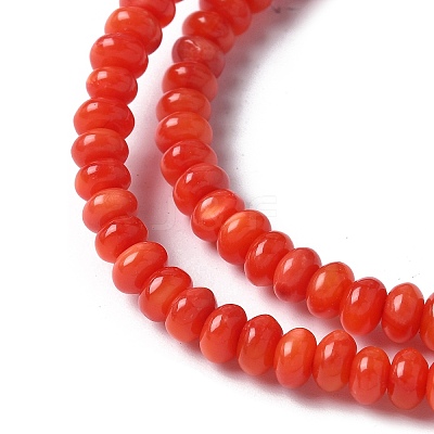 Natural Freshwater Shell Beads Strands SSHEL-C013-08A-1