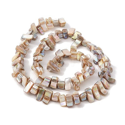 Natural Freshwater Shell Beads Strands BSHE-H018-07A-1