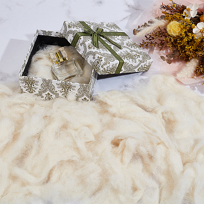 100G Wool Roving DIY-CY0002-75-1