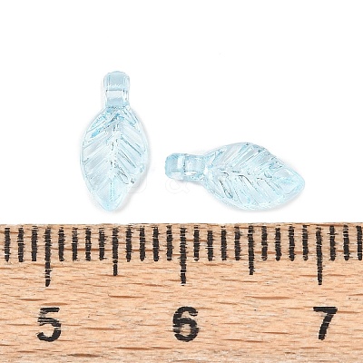 Transparent Acrylic Charms OACR-G054-02E-1