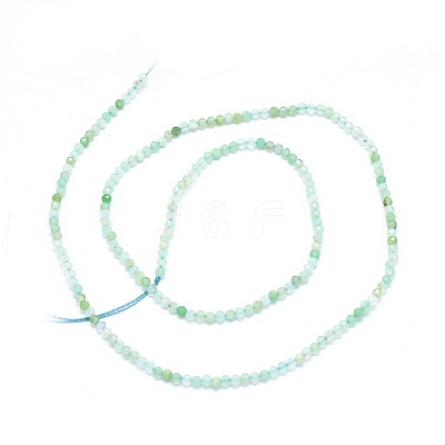 Natural Chrysoprase Beads Strands G-O180-01C-1