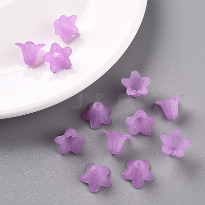 Transparent Acrylic Beads PLF018-04-1