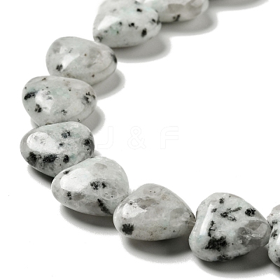 Natural Sesame Jasper/Kiwi Jasper Beads Strands G-B022-12C-1