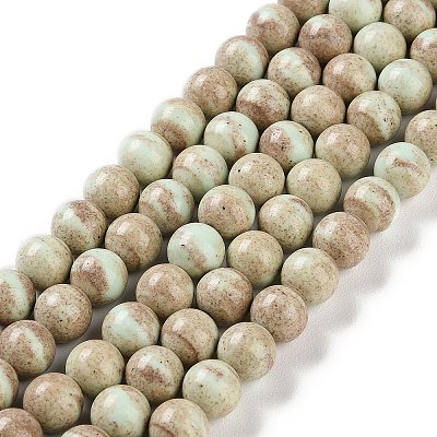 Natural Rainbow Alashan Agate Beads Strands G-NH0022-A08-02-1