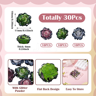 30Pcs 3 Colors Resin Rose Flower Cabochons CRES-TA0001-96-1