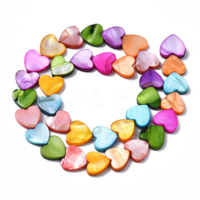 Natural Freshwater Shell Beads Strands SHEL-S278-024B-1