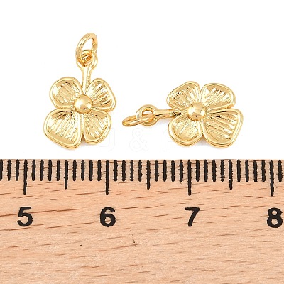 Brass Charms KK-F927-28G-1